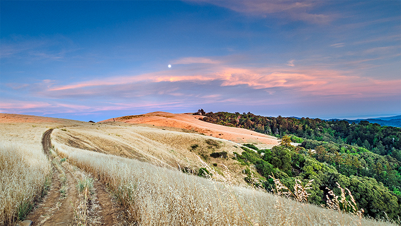 DSC 1148-Pano