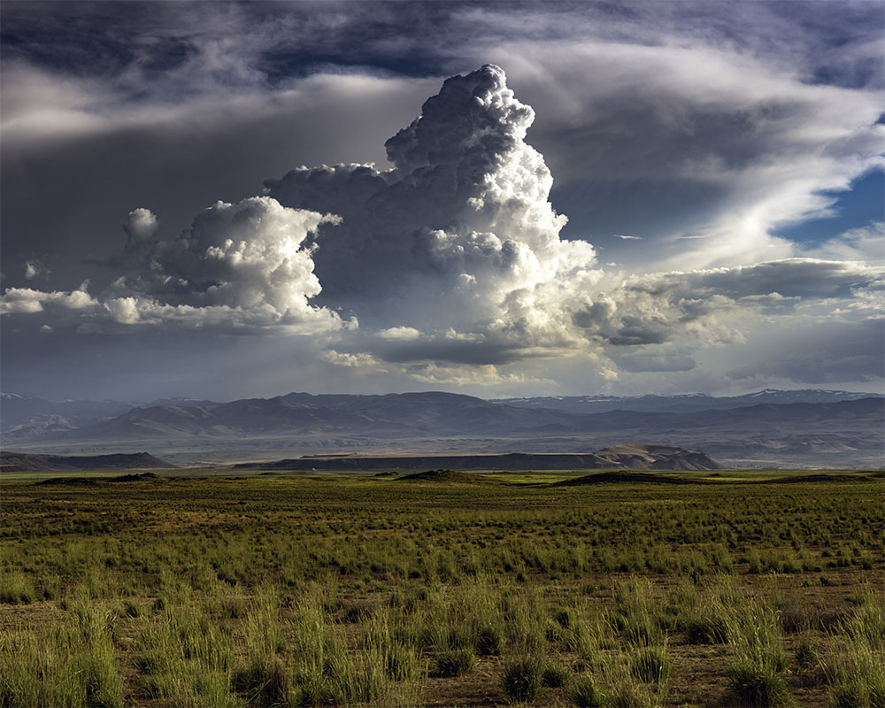 DSC 2323-Pano